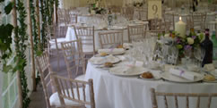 accessories - limewash chivari chairs