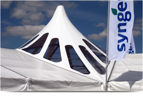 Unusual structures from East Coast Marquees